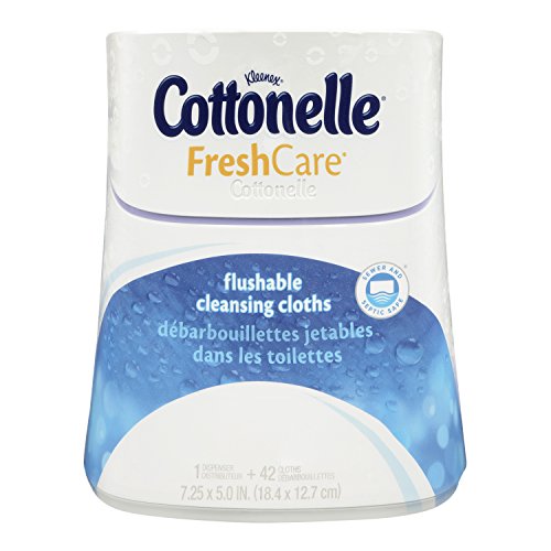 Cottonelle Fresh Care Flushable Moist Wipes Upright Dispenser, 42 Count