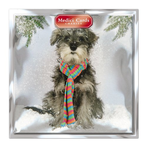 Medici Charity Christmas Cards (MED6895) Pack Of 8 Cards - Dog In Scarf - In aid of the following Charities: Marie Curie Cancer Care, Parkinsons, CLIC Sargent, Oxfam, Lifeboats, Macmillan
