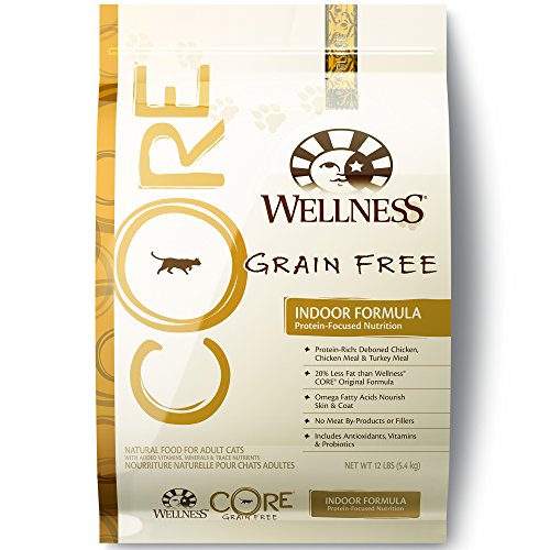 Wellness CORE Grain Free Indoor Chicken & Turkey Natural Dry Cat Food, 12-Pound Bag