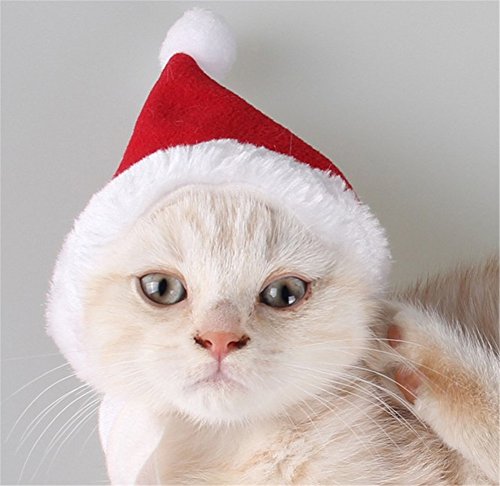Pet Costumes Dog Hat Scarf Pet Santa Cap Collar Dog Red Christmas Suit