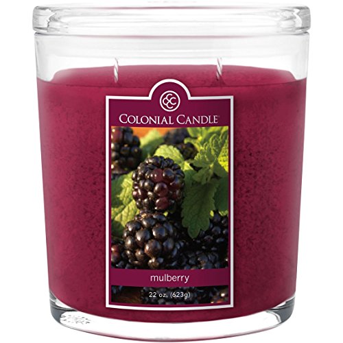 Colonial Candle Mulberry 22 oz Scented Oval Jar Candle
