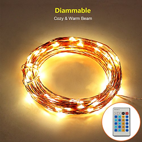 ThorFire Dimmable LED Starry String Lights for Christmas Cooper Wire with IR Remote Control Festival Decoration Indoor& Outdoor Holiday (100 LEDs 33ft Warm White)