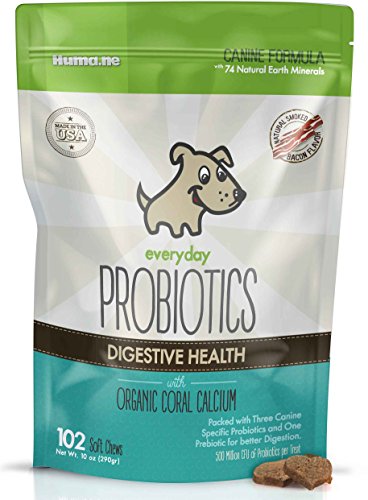 Soft Bite Sized Everyday Probiotic Chews for Dogs (LARGE 102 Treats) with 3 Canine Specific Probiotics and 1 Prebiotic ?500 Million CFU's of Probiotics Per Treat