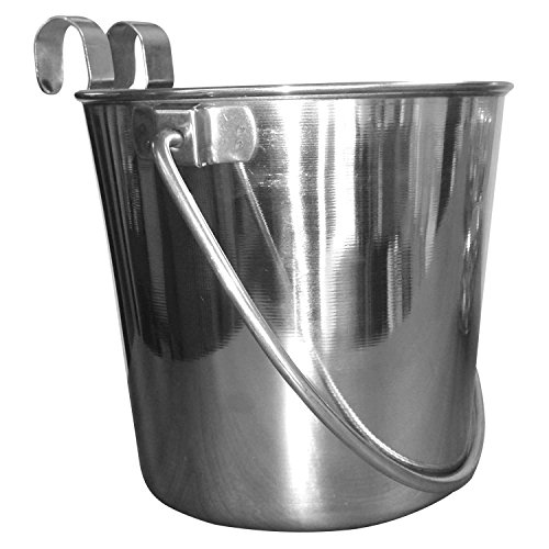 QT Dog Flat Sided Stainless Steel Bucket with Hooks, 4 quart