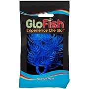 GloFish Plants for Aquarium