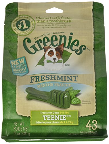 GREENIES Freshmint Dental Chews TEENIE Treats for Dogs - 12 oz.