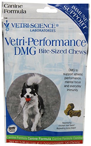 Vetri-Performance DMG, 120 Bite-Sized Chews