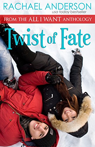 Twist of Fate (A Holiday Romance Novella)