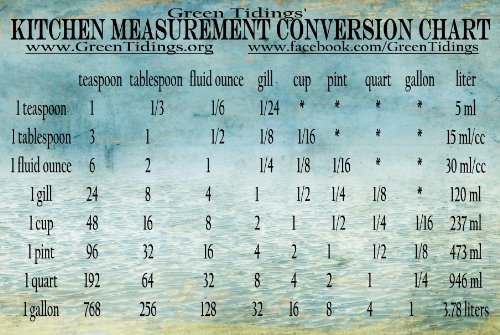 Kitchen Measurement Conversion Chart (Magnet)