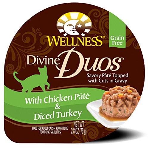Wellness Divine Duos Grain Free Chicken & Turkey Natural Wet Cat Food, 2.8-Ounce Cup