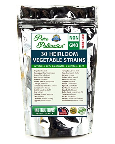 11,000 Non GMO Heirloom Vegetable Seeds 30 Variety Pack All Natural Emergency Seed Bank MRE