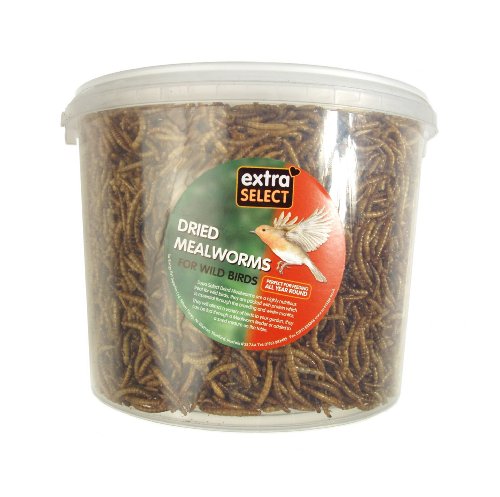 Extra Select Mealworms 3 L Tub