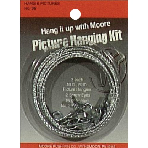 Moore Push Pin Picture Hanging Kit
