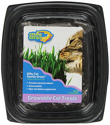 OurPets Kitty Cat Family Grass