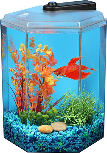 API Betta Kit Hex Fish Tank, 1.7-Gallon