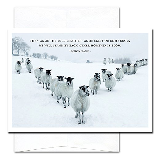 Sleet or Snow: New Year Holiday Cards - box of 10 cards & envelopes