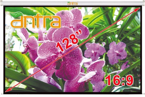 Antra PSA-128AG Electric Motorized 128 16:9 Projector Projection Screen Matte Grey Low Noise Tubular Motor