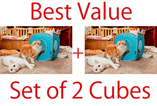 Set of 2 Kitty Play Cubes#the Best Cat Toy#the Best Quality#sturdy (Baby Blue)