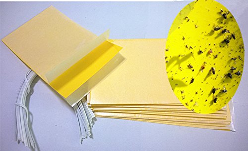 Hafer 30-Pack (15ea.5*3yellow Dual sticky trap and 15pcs wire tie)set