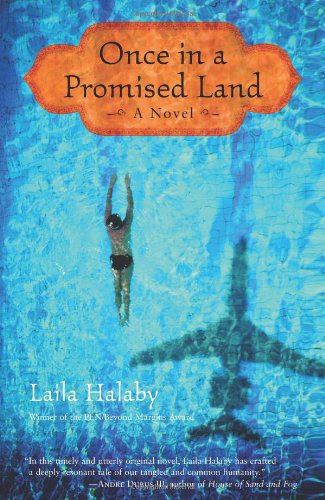 Once in a Promised Land: A Novel