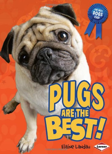 Pugs Are the Best! (Best Dogs Ever)