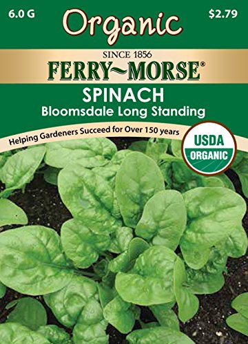 Ferry-Morse 3121 Organic Spinach Seeds, Bloomsdale Long Standing (6 Gram Packet)
