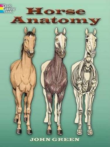 Horse Anatomy (Dover Nature Coloring Book)