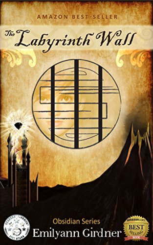 The Labyrinth Wall (Obsidian Series Book 1)