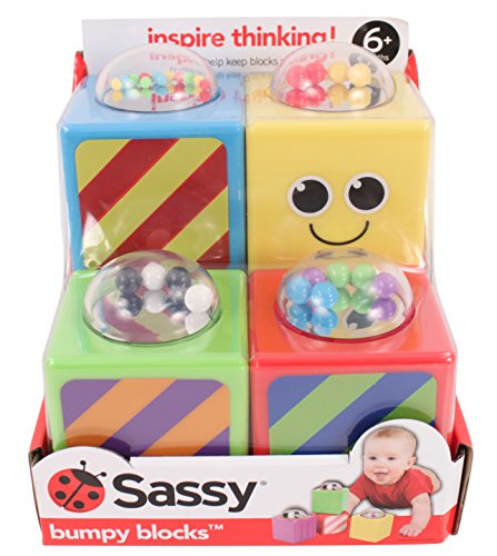 Sassy Bumpy Blocks Toy