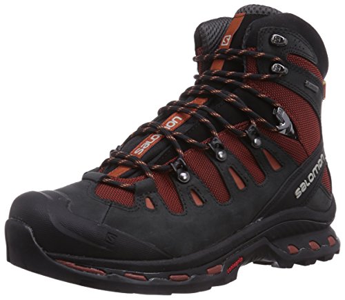 Salomon Quest 4d 2 Gtx, Men's High Rise Hiking Shoes, Multicolor (Deep Red/Asphalt/Oxide-X), 42 2/3 EU (8.5  UK)