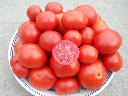 Mr. Bruno Tomato Seeds- Rare Australian Heirloom Variety- 20+ Seeds