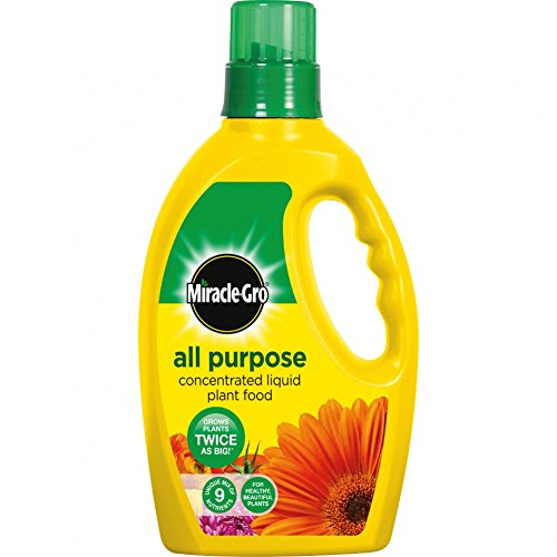 Miracle-Gro All Purpose Concentrated Liquid Plant Food Bottle, 1 L