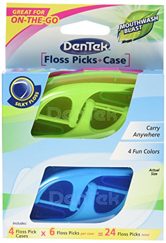 DenTek Travel Case with Flossers in Tray, 4 Count
