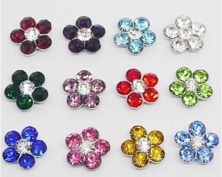 Set of 12 DAISY Flower Crystal Birthstones Floating Charms