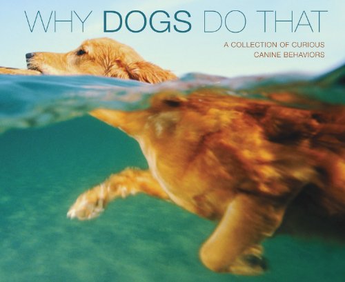 Why Dogs Do That (Deluxe Edition): A Collection Of Curious Canine Behavoirs