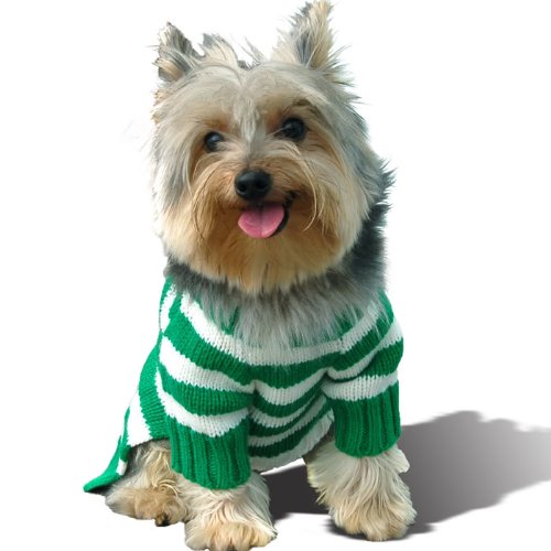 Stinky G Forest Green Stripe Dog Hoodie Sweater