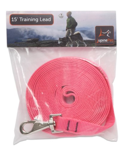 LupinePet Training Lead for Medium and Larger Dogs, 3/4-Inch Wide by 15-Feet Long, Hot Pink