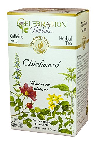 Celebration Herbals Organic Chickweed Herb Tea Caffeine Free -- 24 Herbal Tea Bags