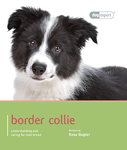 Border Collie - Dog Expert