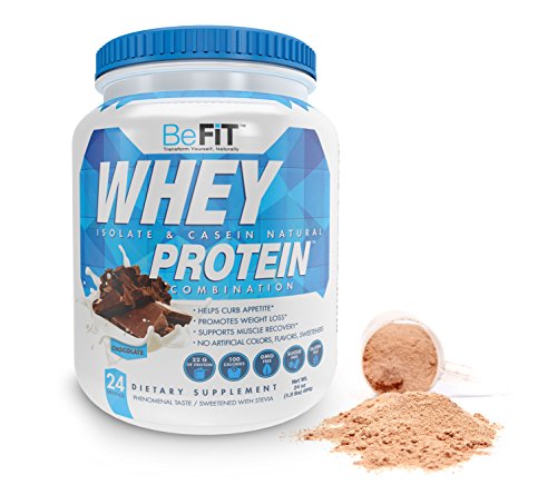 BeFit WHEY Isolate & Casein Natural Protein Supplement (Chocolate)