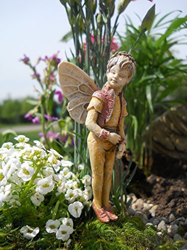Miniature Fairy Garden Will