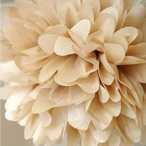 Hmxpls 10pcs Tissue Paper Pom-poms Flower Ball Wedding Party Outdoor Decoration (Golden)