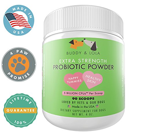 Best Acidophilus Probiotic for Dogs Large and Small - 5 Billion CFUs per scoop - Probiotic Powder Easily Added to Dog Food - Helps with Digestive Issues, Diarrhea and Itching - Promotes Canine Health