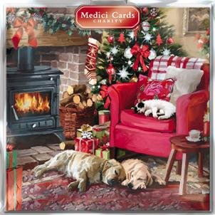 Medici Charity Christmas Cards - Cosy Christmas (5330) - Pack of 8 Cards Sold In Aid of Marie Curie Cancer Care, Parkinsons, Oxfam, CLIC Sargent, Macmillan Cancer Support and RNLI