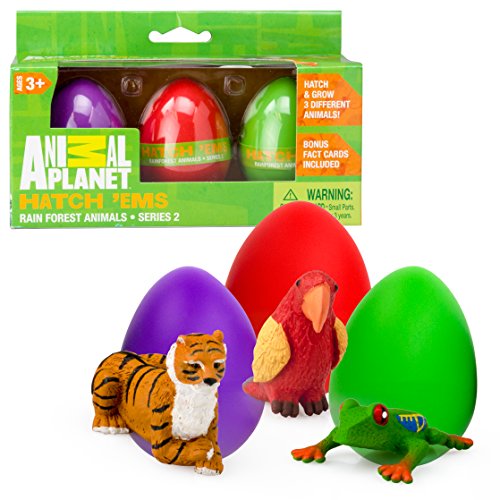 Animal Planet Grow Eggs- Rain Forest- Hatch and Grow Three Different Super-sized Animals (Series 2)