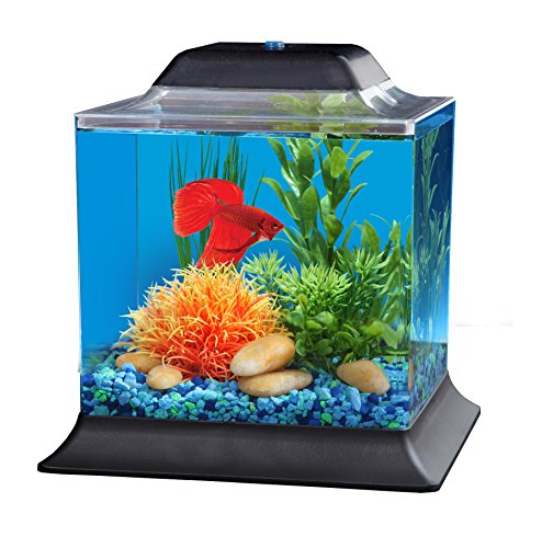 API Betta Kit Cube Fish Tank, 1.5 gallon