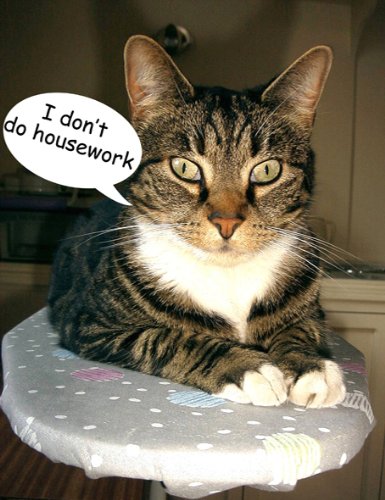 Tabby Cat, I Don't Do Housework Fridge Magnet