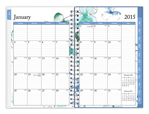 Blue Sky 2015 Lindley Weekly and Monthly Planner, Wire-O Bound, Frosted, 5 x 8 Inches