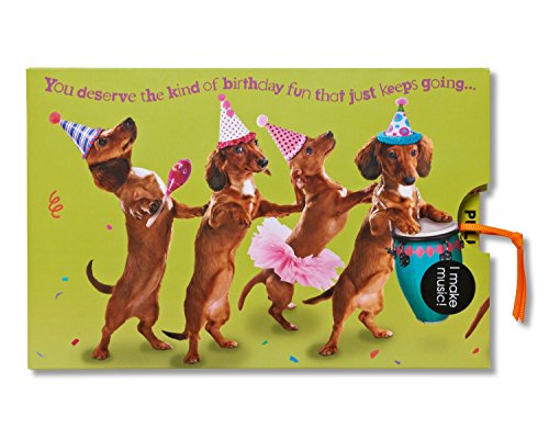 Funny Dachshunds Birthday Card