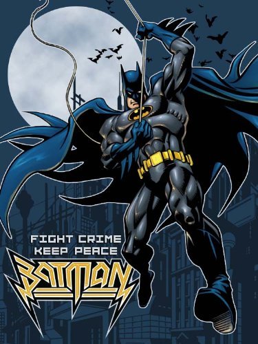 Licensed Batman Fight Crime Twin Size Plush Raschel Blanket New 60x80